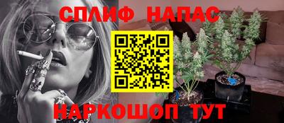 прущие грибы Ефремов